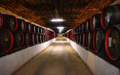 Együtt a bajban: a Kárpátok-bora program továbbra is várja a borászok jelentkezését